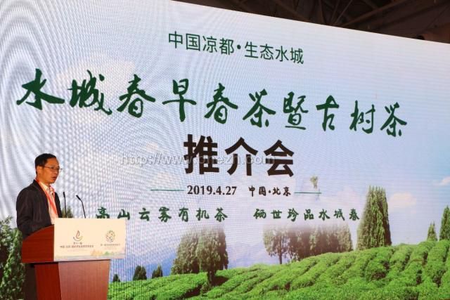 2019第十一届中国国际茶业及茶艺博览会现场照片