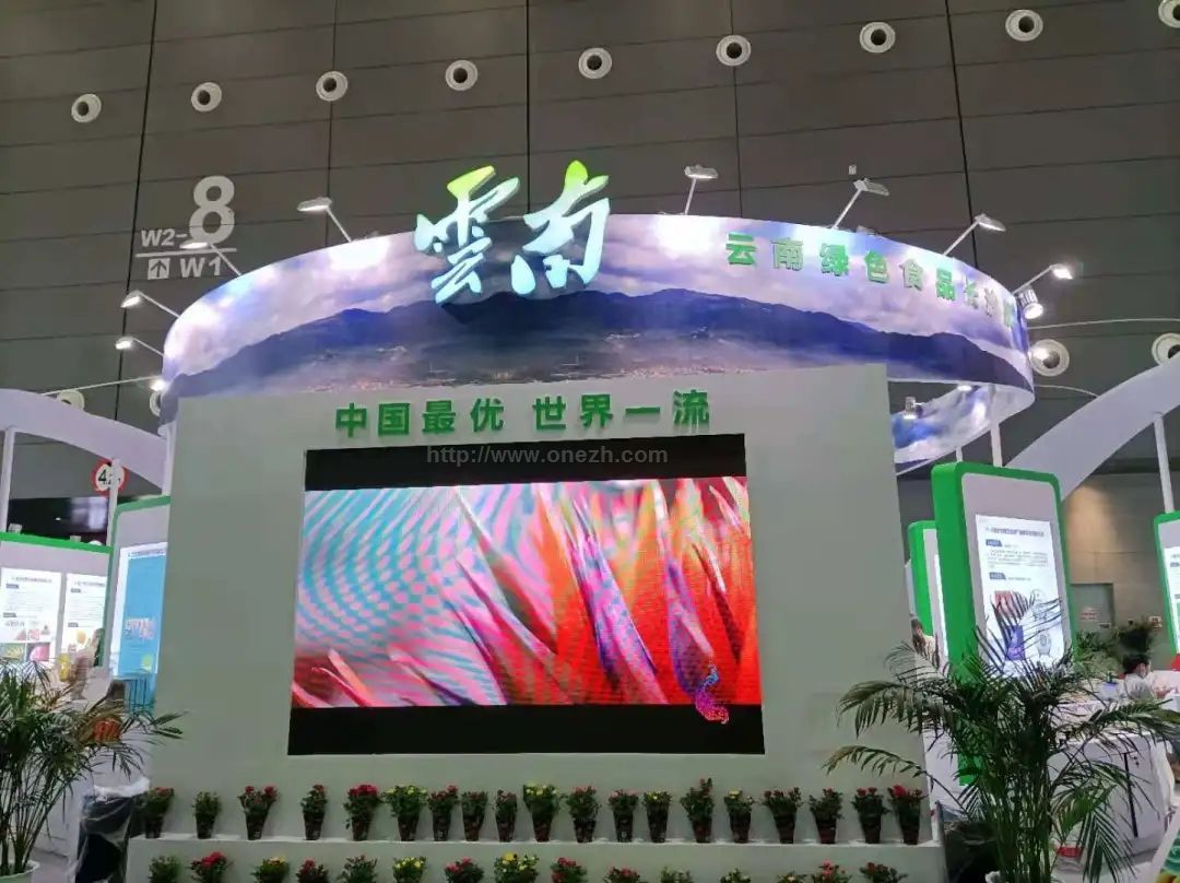 2021中国国际食品餐饮博览会现场照片