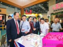 2017第二届三亚国际文化产业博览会