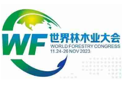 2023首届世界林木业大会暨世界人造板博览会
