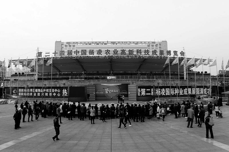 第二十四届杨凌农高会开幕 总展览面积18.8万平方米