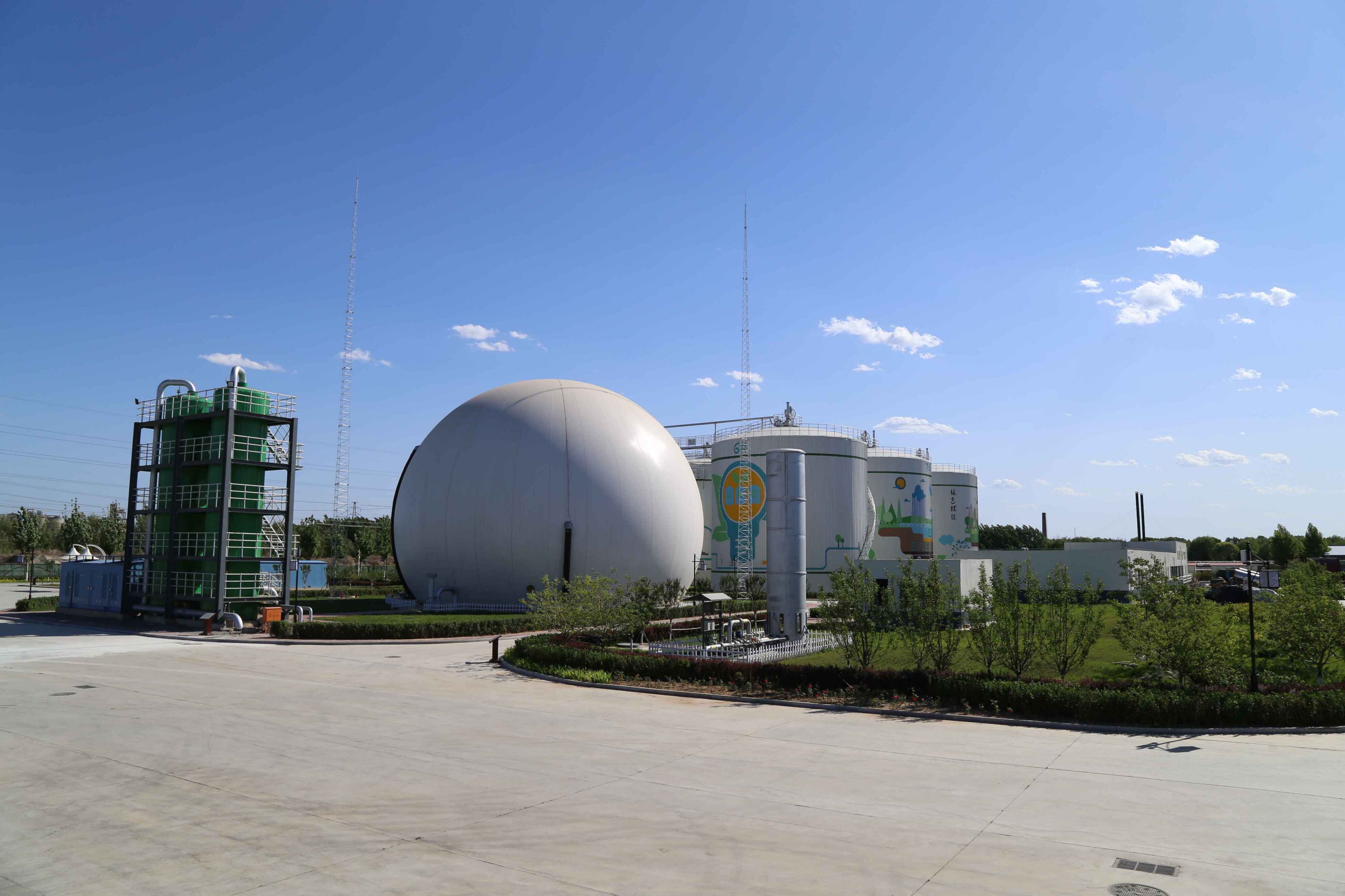 三河天龙及旗下全资子公司盈盛生物出席ibs2019共探生物能