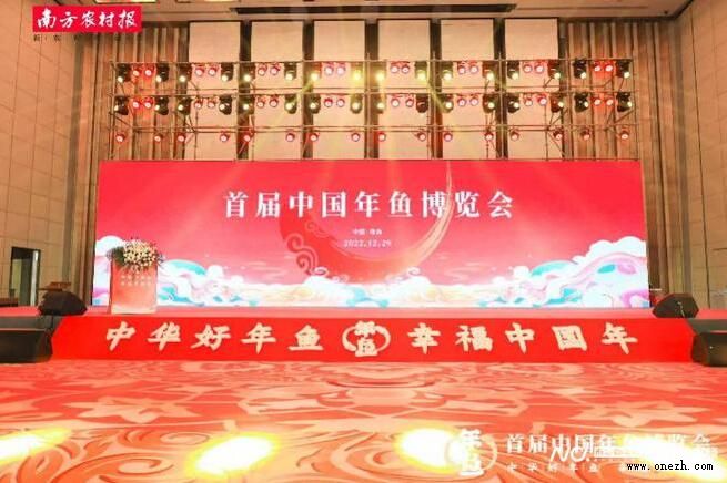 全国超200家企业参展,首届中国年鱼博览会在珠海开幕