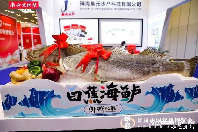 全国超200家企业参展,首届中国年鱼博览会在珠海开幕